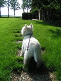 Klik op de foto voor groter formaat